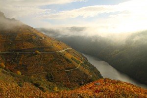 Valdeorras